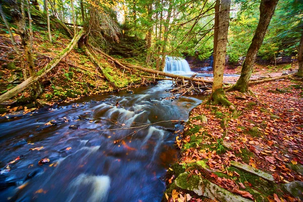 Vodopád na začátku řeky s mírnými peřejemi a listí po celé zemi — Stock fotografie