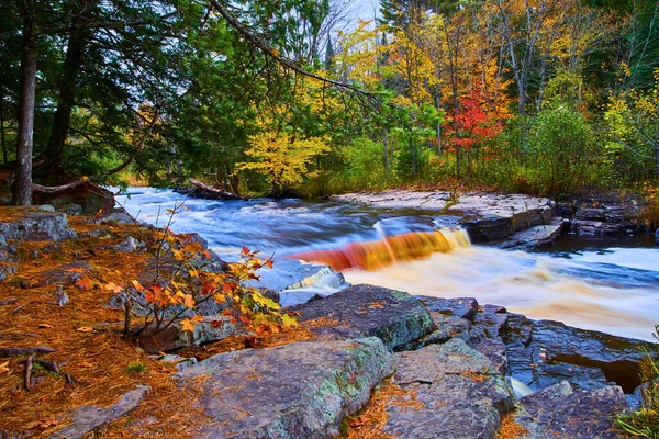 Річка з дрібним водоспадом або порогами і розгалуженими гілками дерев з осінніми кольорами і сосновими голкою на каменях — стокове фото
