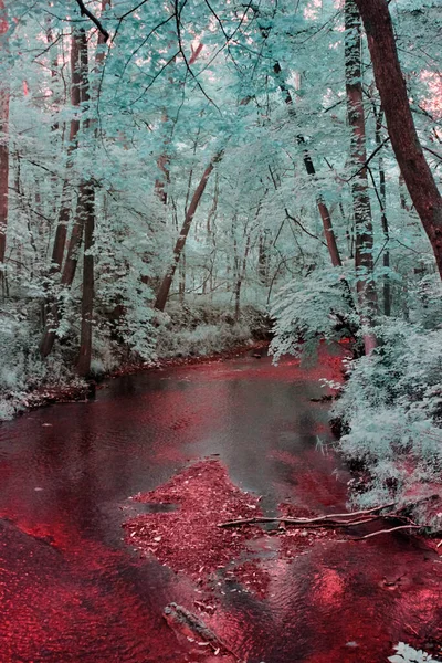 Kızıl ötesi ile çekilen kan kırmızı nehir.