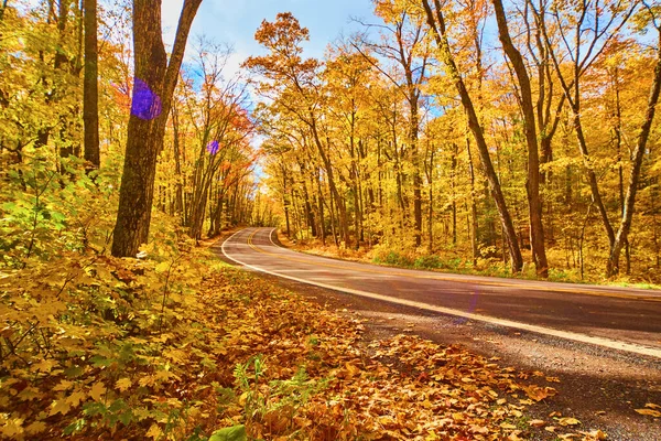 Bosque amarillo con cielo azul y blanco y un camino que viene de la derecha y desaparece sobre una colina en el centro a la izquierda de la foto con un resplandor de sol púrpura — Foto de Stock