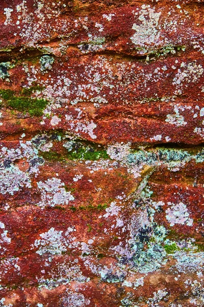 Primer plano macroplano de piedra roja con moho blanco y musgo verde —  Fotos de Stock