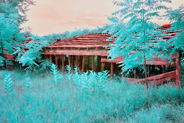 Estrutura de madeira velha com um tiro de floresta de teca em infravermelho — Fotografia de Stock