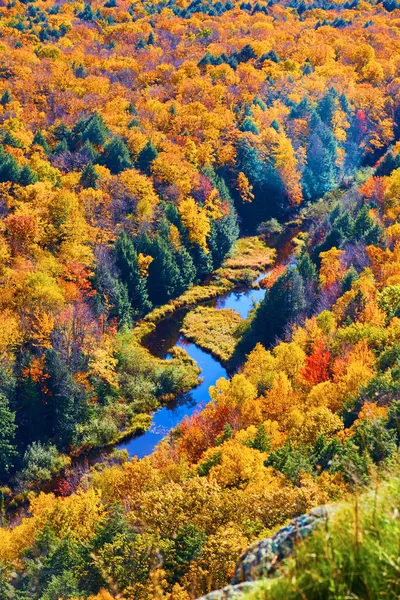 Río sinuoso arrasando un bosque durante el otoño — Foto de Stock