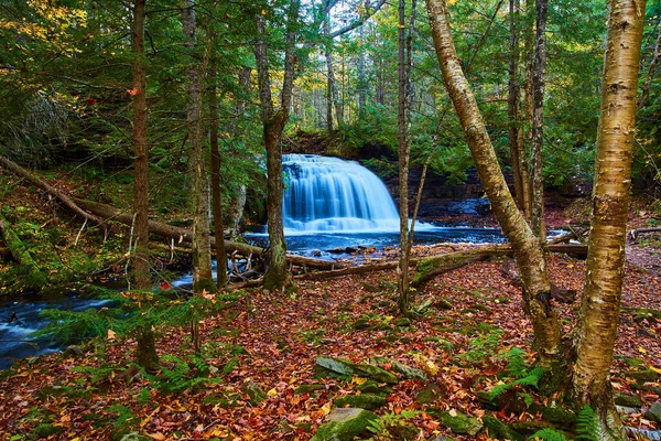 Rock River Falls bílý vodopád, který vede do lesa posetého podzimními listy — Stock fotografie