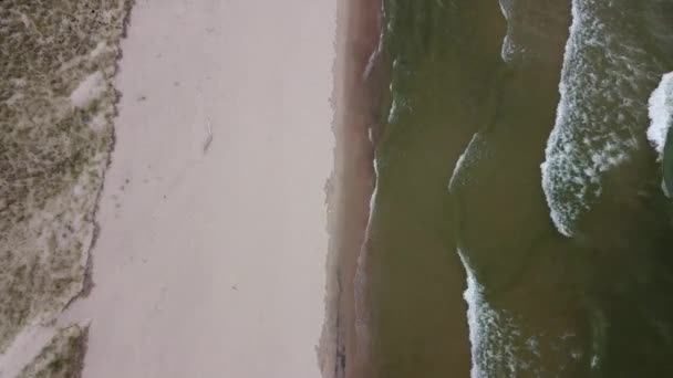Vue aérienne le long de la plage avec des vagues qui s'écrasent dans le Michigan — Video