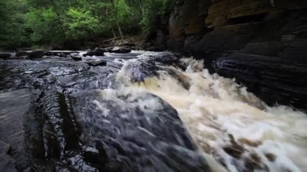 Vue et son des cascades de cascades à travers les gorges en forêt — Video