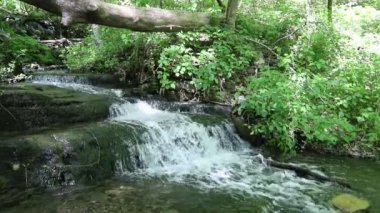 Indiana 'da şelalenin huzurlu manzarası