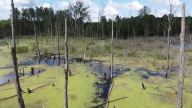 Hava bataklık bölgesine iniyor.