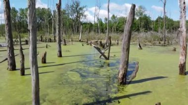 Hava yakınlığı bataklık bölgesinden geçiyor
