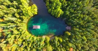 Michigan 'daki Büyük Bahar' a doğru uçan hava sahası çam ağaçlarıyla çevrili.