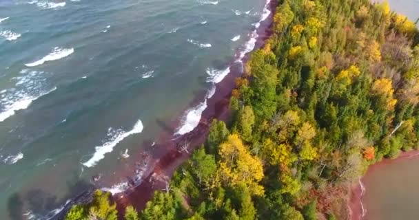 Göldeki küçük sonbahar ağacı adasının üzerinde dalgalar çarpıyor. — Stok video
