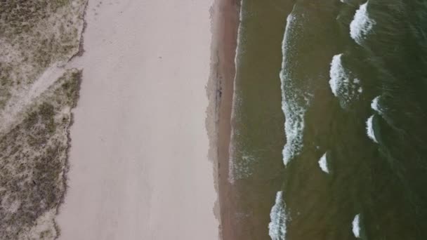 Aerea guardando giù stazionario sulla spiaggia con onde che si schiantano in Michigan — Video Stock