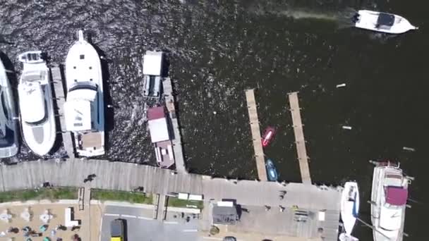 ボートで埋められたドックの近くを見下ろす空中 — ストック動画
