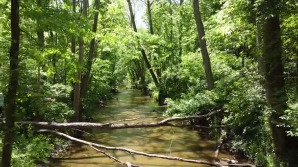 Antenne rückwärts über Fußgängerbrücke im Wald mit braunem Fluss — Stockvideo