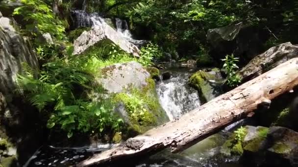 Légi közel a kis patak felett, gyönyörű sziklák és rönkök vezetnek vízeséshez. — Stock videók