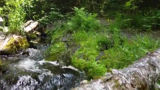 Aérien sur un petit ruisseau avec rondins et rochers menant à une belle cascade dans les bois — Video