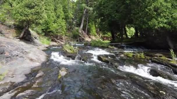 Antenne rückwärts und niedrig gegen Wasserfälle im Wald — Stockvideo