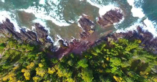 Mirada aérea hacia abajo en la costa rocosa del lago al lado del bosque verde — Vídeos de Stock