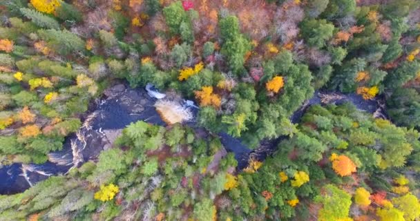 Blick aus der Luft auf Flussschlucht umgeben von Wald — Stockvideo