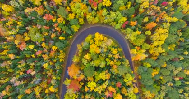 추락하는 나무와 차가 다니는 180 도 도로를 하늘에서 내려다보는 장면 — 비디오