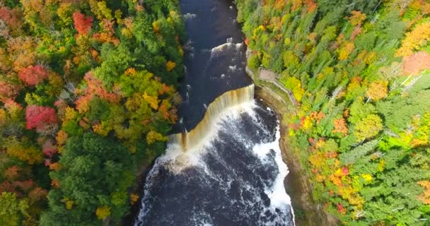 Vuelo aéreo hacia las increíbles cataratas de Tahquamenon en Michigan durante el pico de otoño — Vídeo de stock