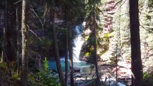 空中穿过树林，可以看到雄伟的隐藏瀑布俯瞰在峡谷中 — 图库视频影像