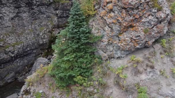 Luftaufnahme einer Schlucht mit Dutzenden kleiner Wasserfälle — Stockvideo