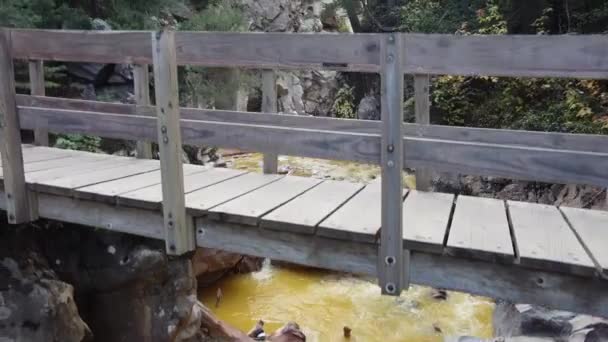 Luftaufnahme vom Fluss in der Schlucht mit Blick auf riesige Staudämme und Gebirgstäler mit dem ikonischen Million Dollar Highway — Stockvideo