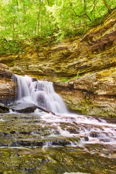 Vertical de cascada y cascada cae en garganta con exuberante bosque verde —  Fotos de Stock