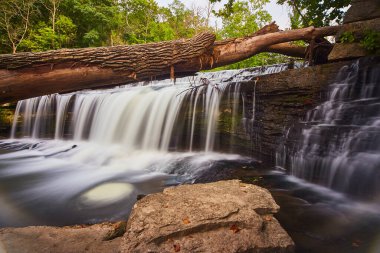 Yeşil ormanlı şelale ve devrilmiş ağaç kütüğü. Düşen kırmızı ve sarı yapraklar ve küçük bir girdap.