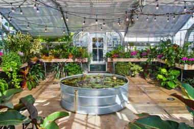 Kalabalık serada orkideler, yeşil bitkiler ve nilüferlerle kaplı büyük metal havuzlar vardı.