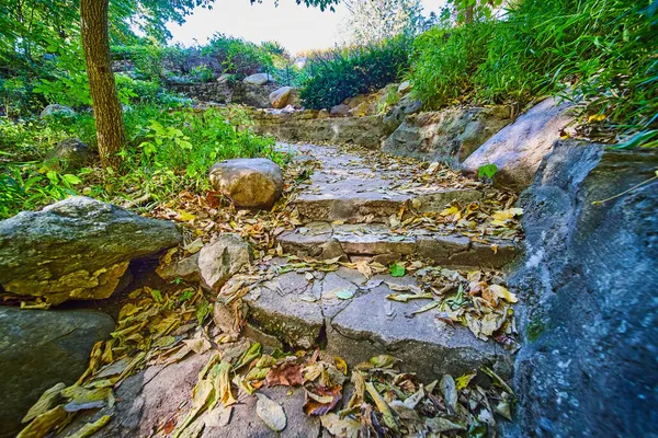 Nahaufnahme von Steinstufen, die sich im Wald mit abgestorbenem Laub im Spätherbst biegen — Stockfoto