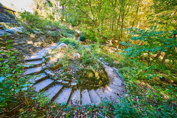 Stone askel kävelytie 180 kääntyä läpi metsän myöhään syksyllä — kuvapankkivalokuva