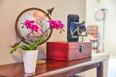 Pembe orkideleri, küresi ve film kamerası olan ev dekorasyonu masası.