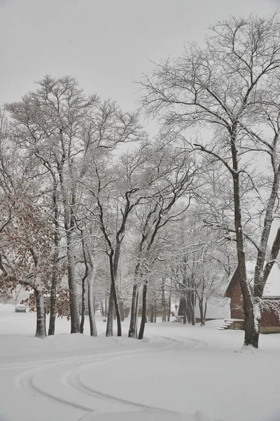 Sněhová pokrývka silnice se stromy v zimě — Stock fotografie