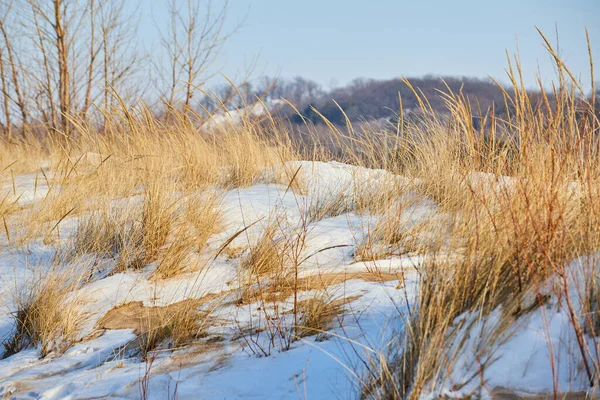 Paisaje de pastos otoñales y nieve sobre dunas de arena —  Fotos de Stock