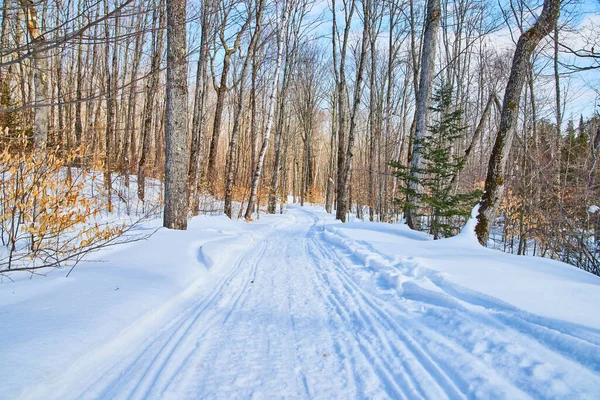 Sendero de senderismo en invierno sobre nieve en bosque —  Fotos de Stock
