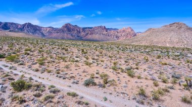 Çöldeki çakıl yolunun resmi. Arka planda Nevada 'nın geniş dağları var.