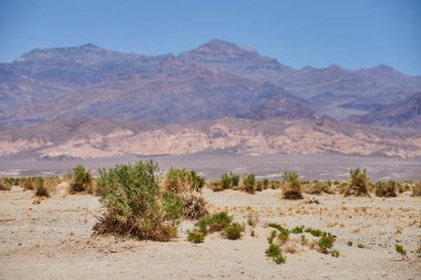 Ölüm Vadisi 'nde kumlu ovaları ve yeşil çalıları olan Şeytanların görüntüsü