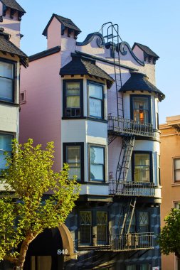 Renkli batı kıyısı görüntüsü Sabah ışığı altında