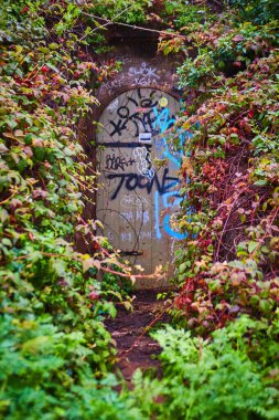 Grafiti ile kaplı ormandaki ürkütücü sığınak girişinin görüntüsü