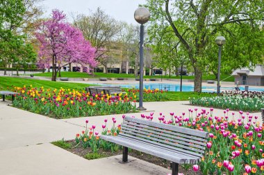 İlkbahar lale bahçeleriyle çevrili Freimann Meydanı banklarının resmi