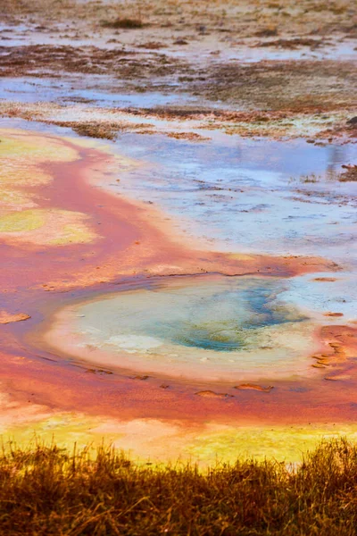 Image of Alkaline waters of basin in Yellowstone with colorful pools