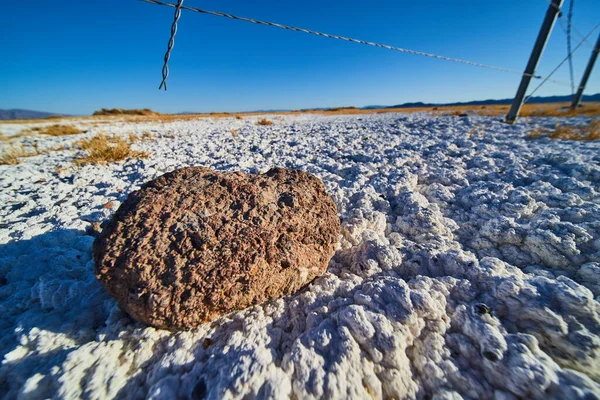 Bild Von Detail Eines Kleinen Felsens Auf Einer Ungewöhnlichen Weißen — Stockfoto