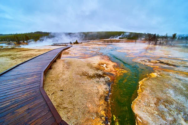 Imagen Invierno Brumoso Yellowstone Pasarelas Húmedas Sobre Arroyos Verdes Cuenca — Foto de Stock