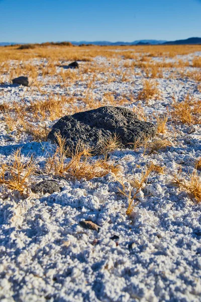 Изображение Черной Скалы Покоящейся Белых Песках Пустыни Желтой Травой — стоковое фото
