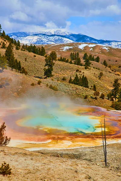 Image of Colorful and huge hot spring overlooks snowy mountains in Yellowstone