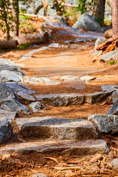 Wizerunek Szczegóły Szlaku Turystycznego Kamienne Schody Pokryte Igłami Sosnowymi — Zdjęcie stockowe