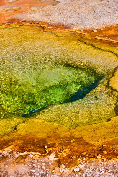Imagem Das Águas Verdes Primavera Yellowstone — Fotografia de Stock