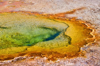 Yellowstone 'daki turuncu katmanlı sıcak pınarın güzel yeşil suları.